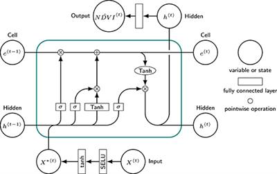Identifying Dynamic Memory Effects on Vegetation State Using Recurrent Neural Networks